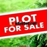 5 KANAL PLOT FOR SALE FOR FARM HOUSE AT GULBARG GREENS ISLAMABAD