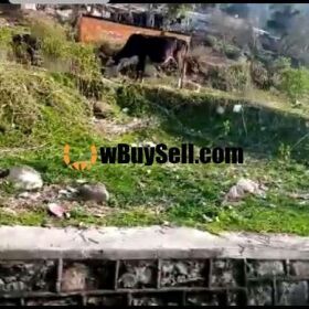 LAND FOR SALE BETWEEN MURREE AND RAWALPINDI TRAIIT FOR SALE 
