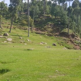 Murree Land for Sale 