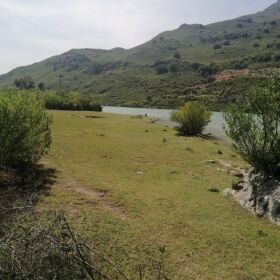 250 Kanal Land for Sale in Khanpur Dam River Side 