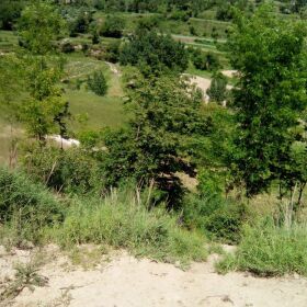 10 Kanal Land   for Sale in Abbottabad 