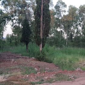 PLOT FOR SALE IN SHAHEEN FARMS ISLAMABAD