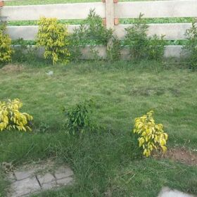 1.5 Kanal Farm House and Garden for Sale in Dhalla Adyala Road Rawalpindi