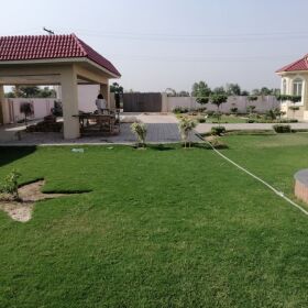 Beautifully Constructed 4 Kanal Luxury Farm House Situated DHA Phase 7 Lahore 