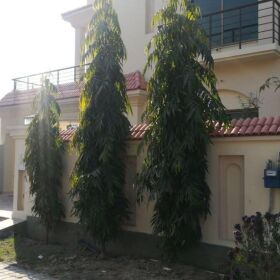10 Marla Double Story House for Sale in Bahria Town Lahore 
